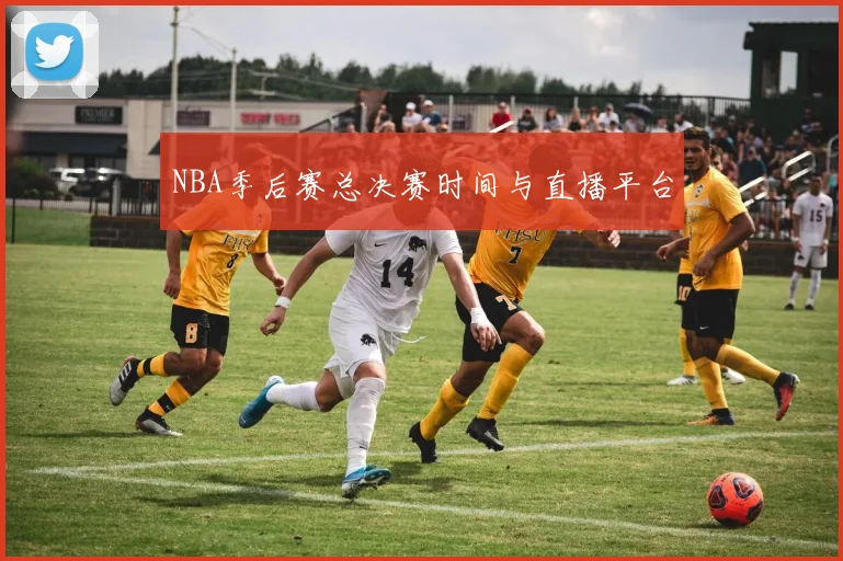 NBA季后赛总决赛时间与直播平台